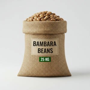 Bambara Beans
