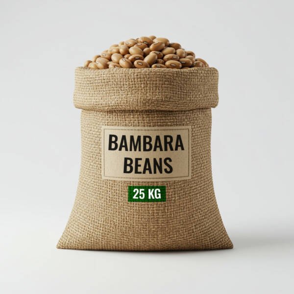 Bambara Beans