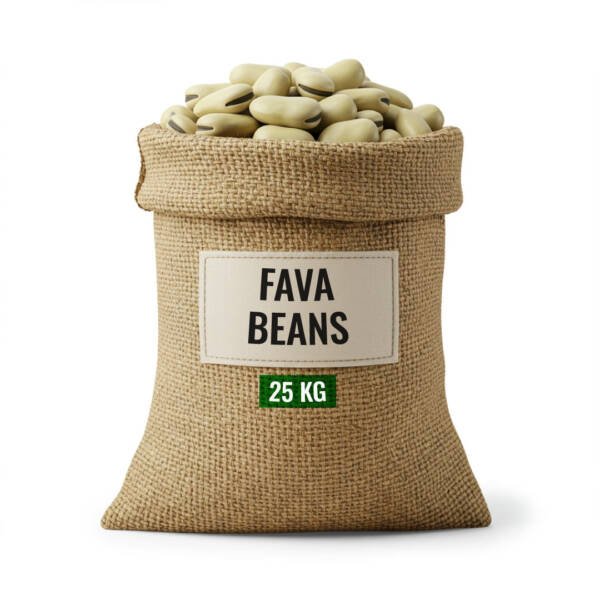 Fava Beans (Broad Beans)