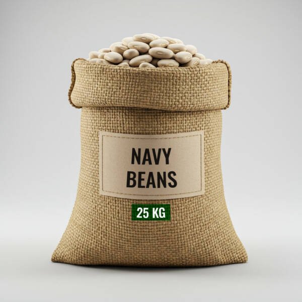 Navy Beans