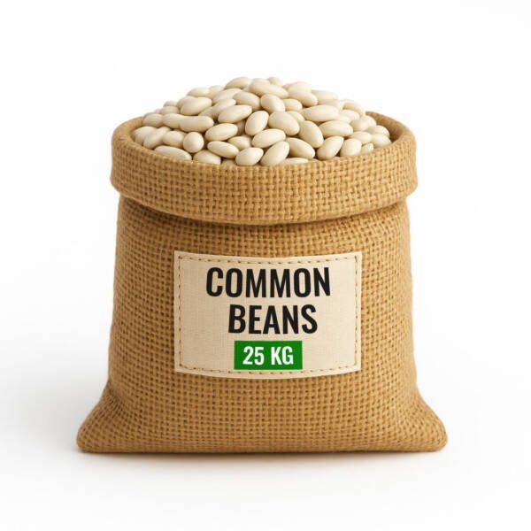 Common Beans
