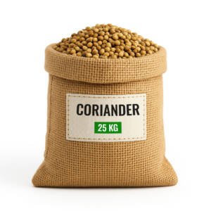Coriander