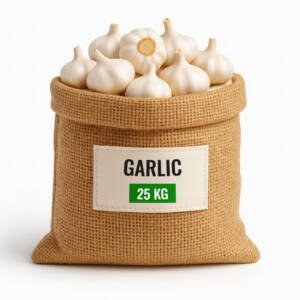 Garlic